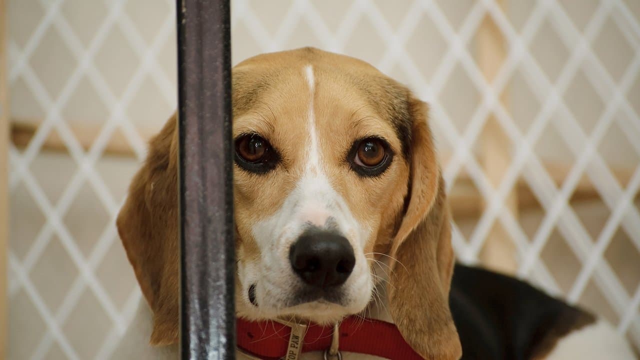 Backdrop – Infiltrada en el búnker