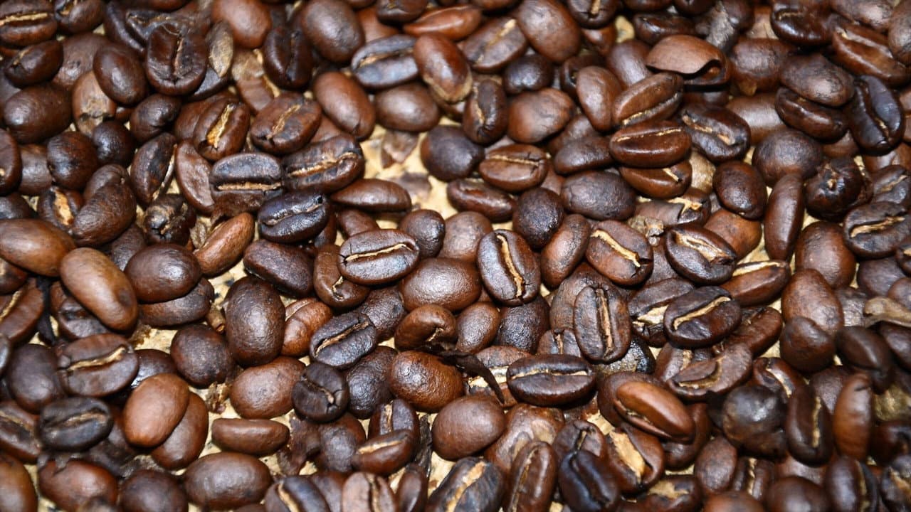 Backdrop – Black Gold