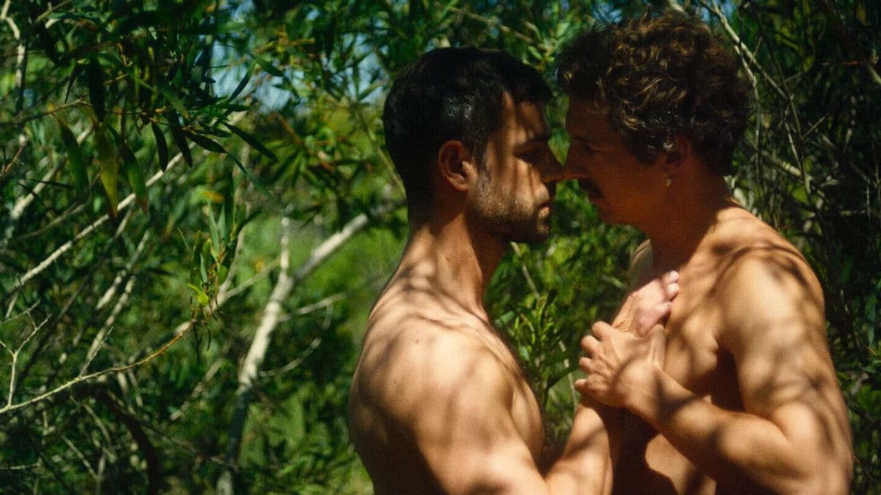 Backdrop – Arriba Beach