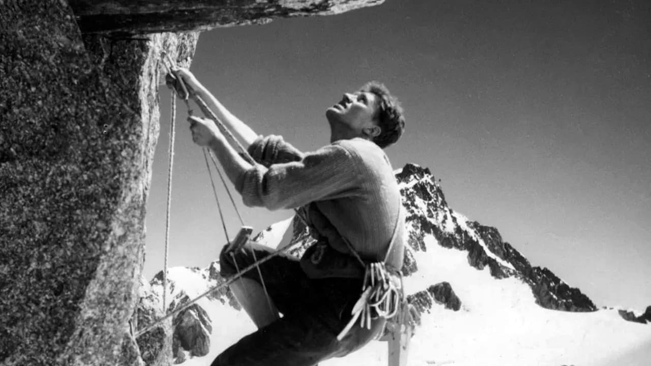 Backdrop – Étoiles Et Tempêtes