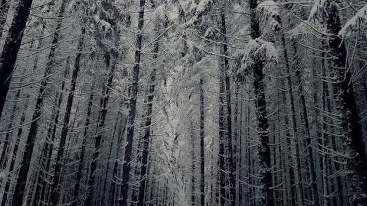 Backdrop – Ethan's Still Image Film
