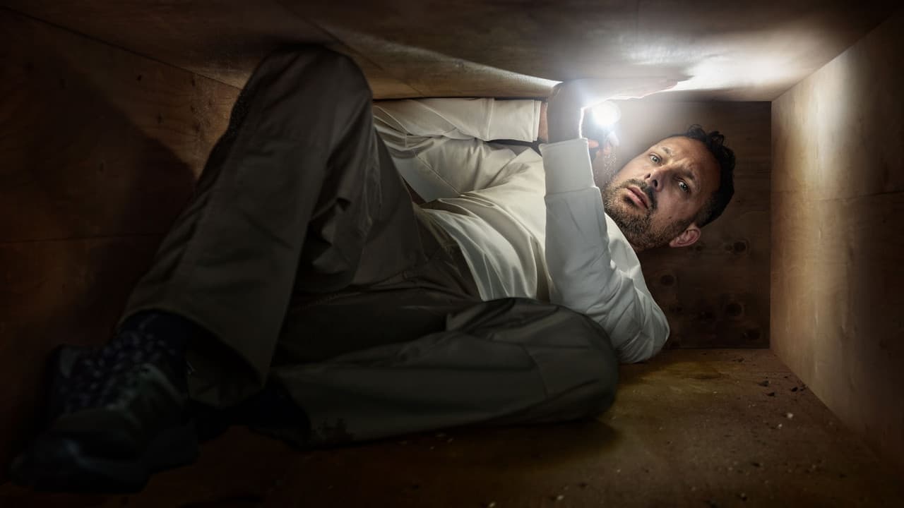 Backdrop – Dynamo Is Dead