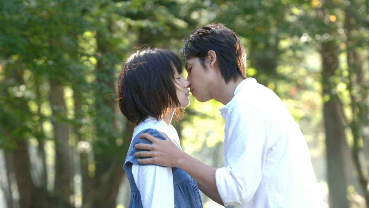 Backdrop – Heavenly Forest