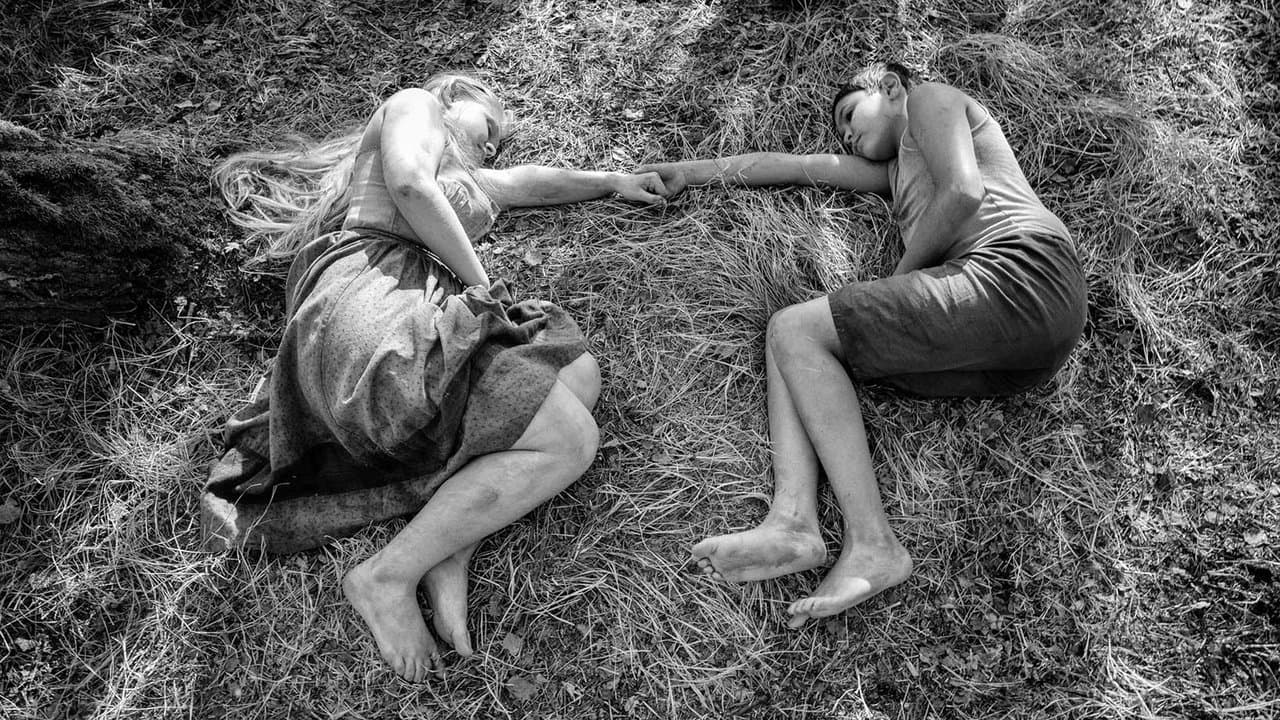 Backdrop – The Painted Bird