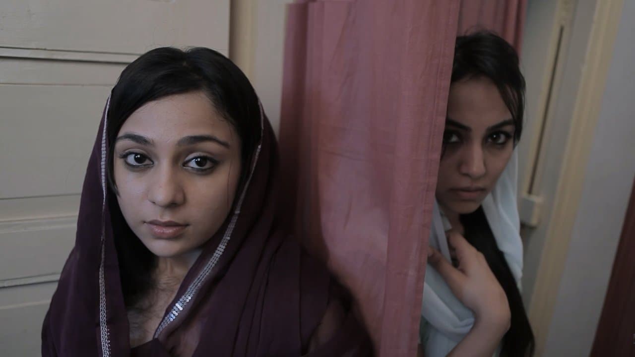 Backdrop – Black Bud