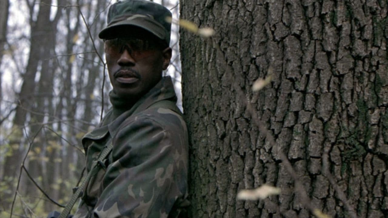 Backdrop – The Marksman - Zielgenau