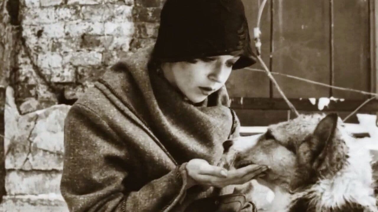 Backdrop – Собачье сердце