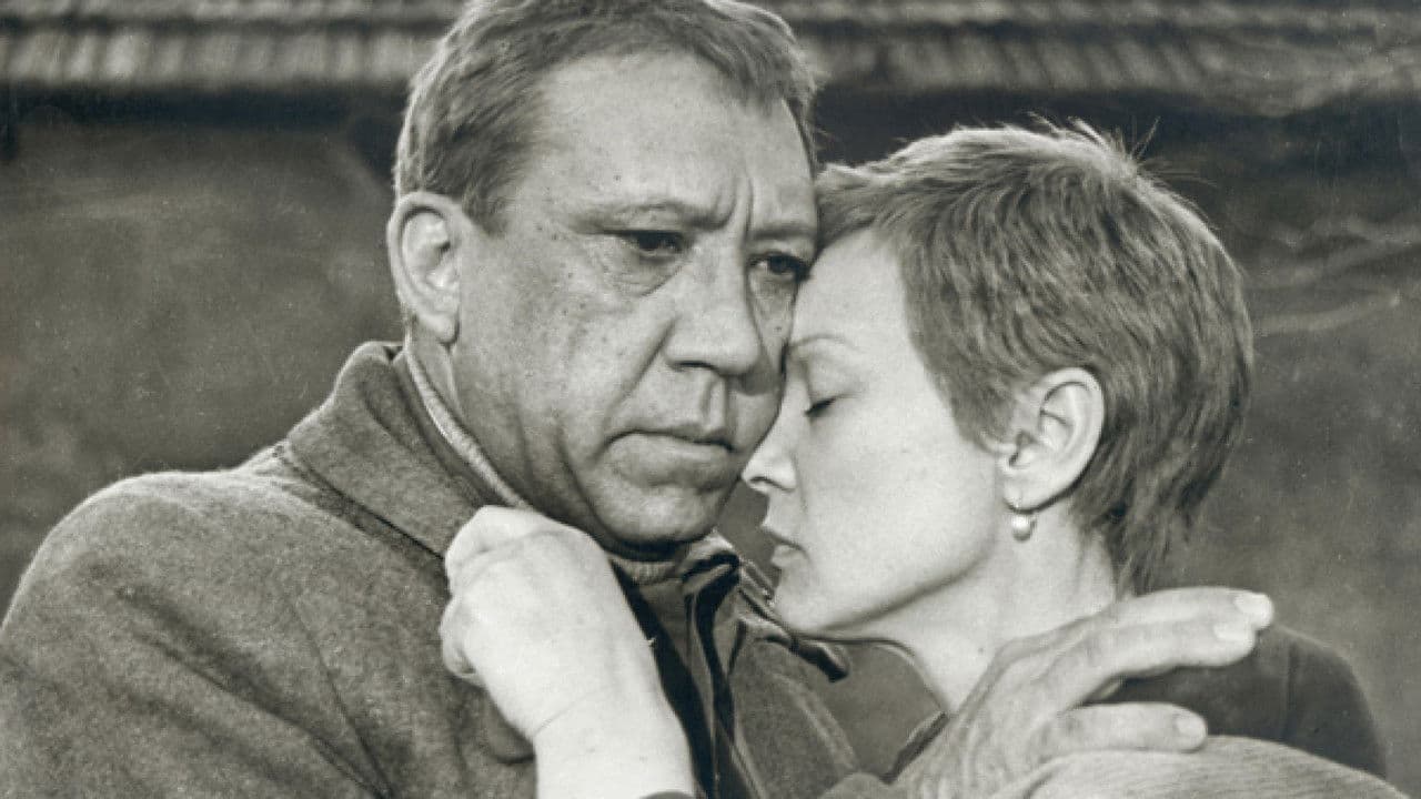 Backdrop – Двадцать дней без войны