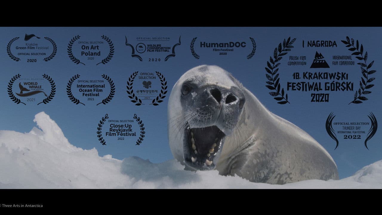 Backdrop – Trzy sztuki w Antarktyce