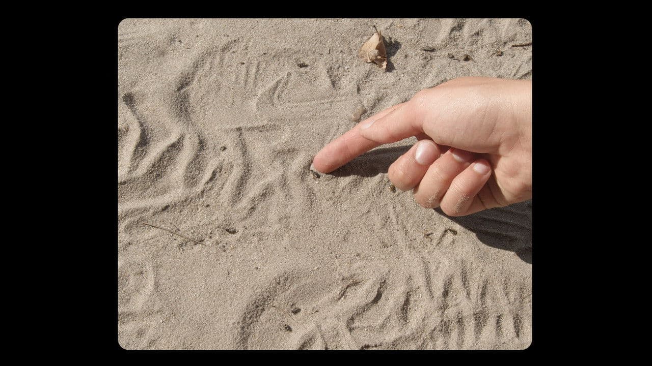 Backdrop – Over het Wildrooster