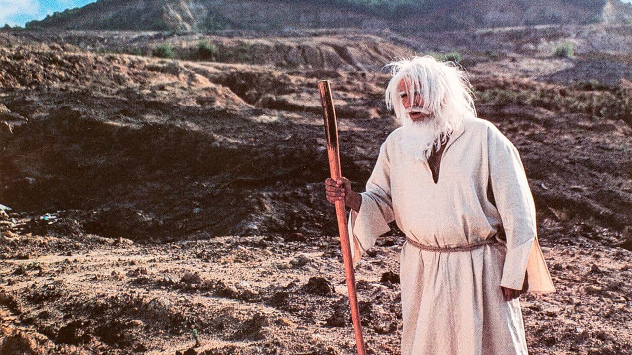 Backdrop – Fasulye