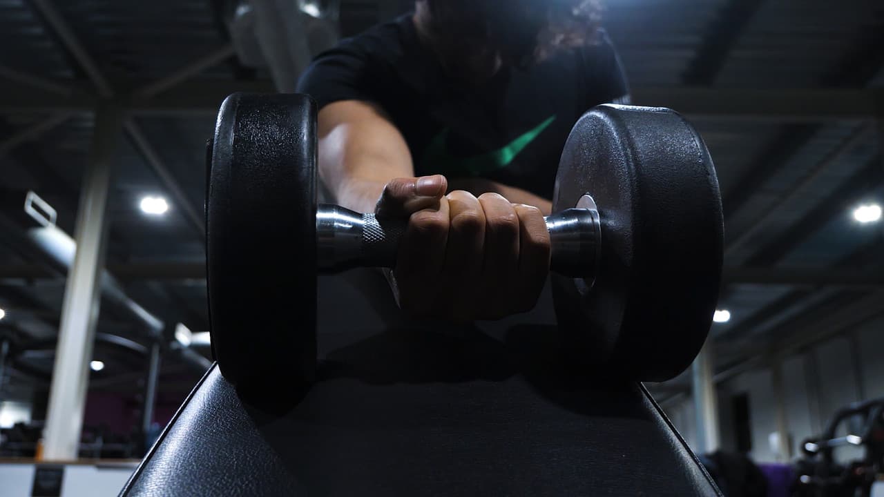 Backdrop – The Anthology of the Night