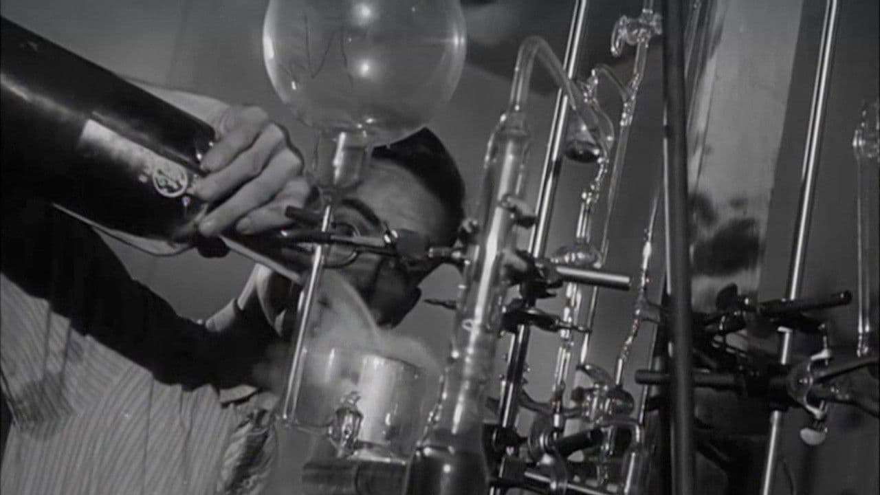 Backdrop – Fortune Seekers