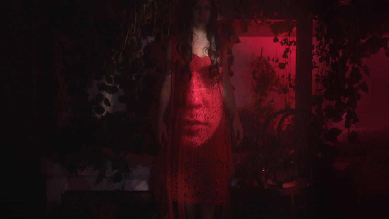 Backdrop – Difference & Repetition, 2020