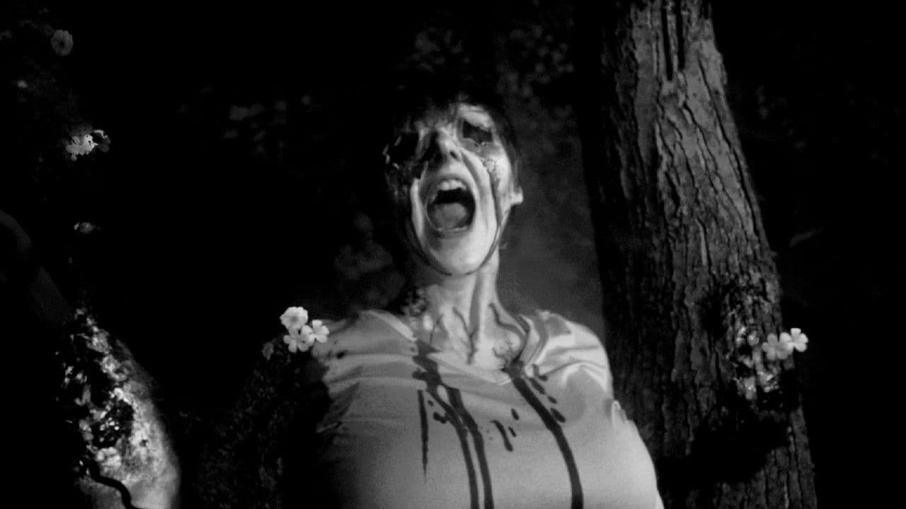 Backdrop – Greywood's Plot