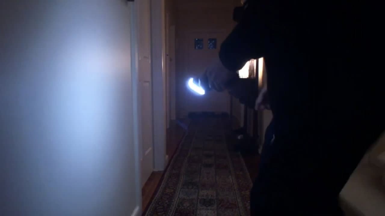 Backdrop – The Box - 2020