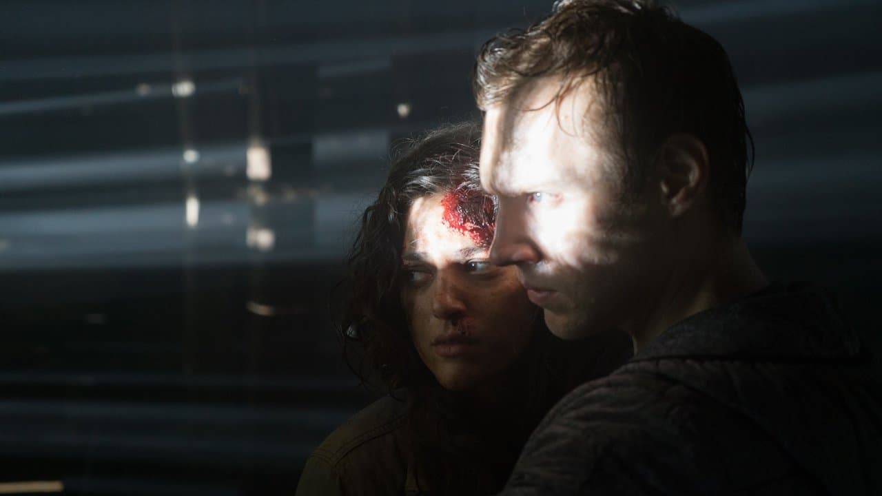 Backdrop – Blair Witch