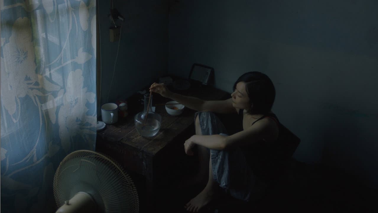 Backdrop – 水母