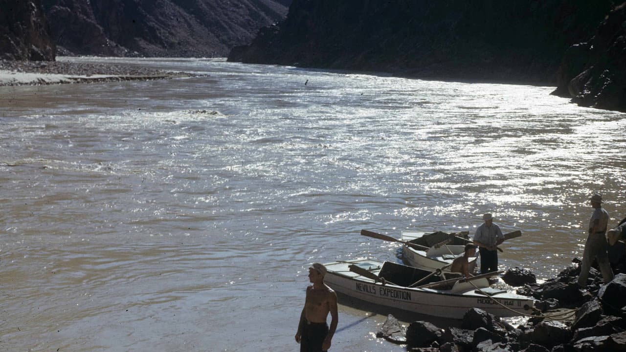 Backdrop – Facing Your Danger