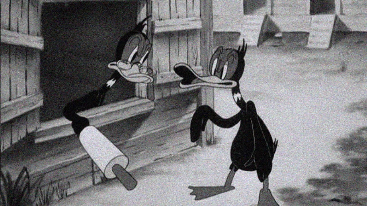 Backdrop – Wise Quacks