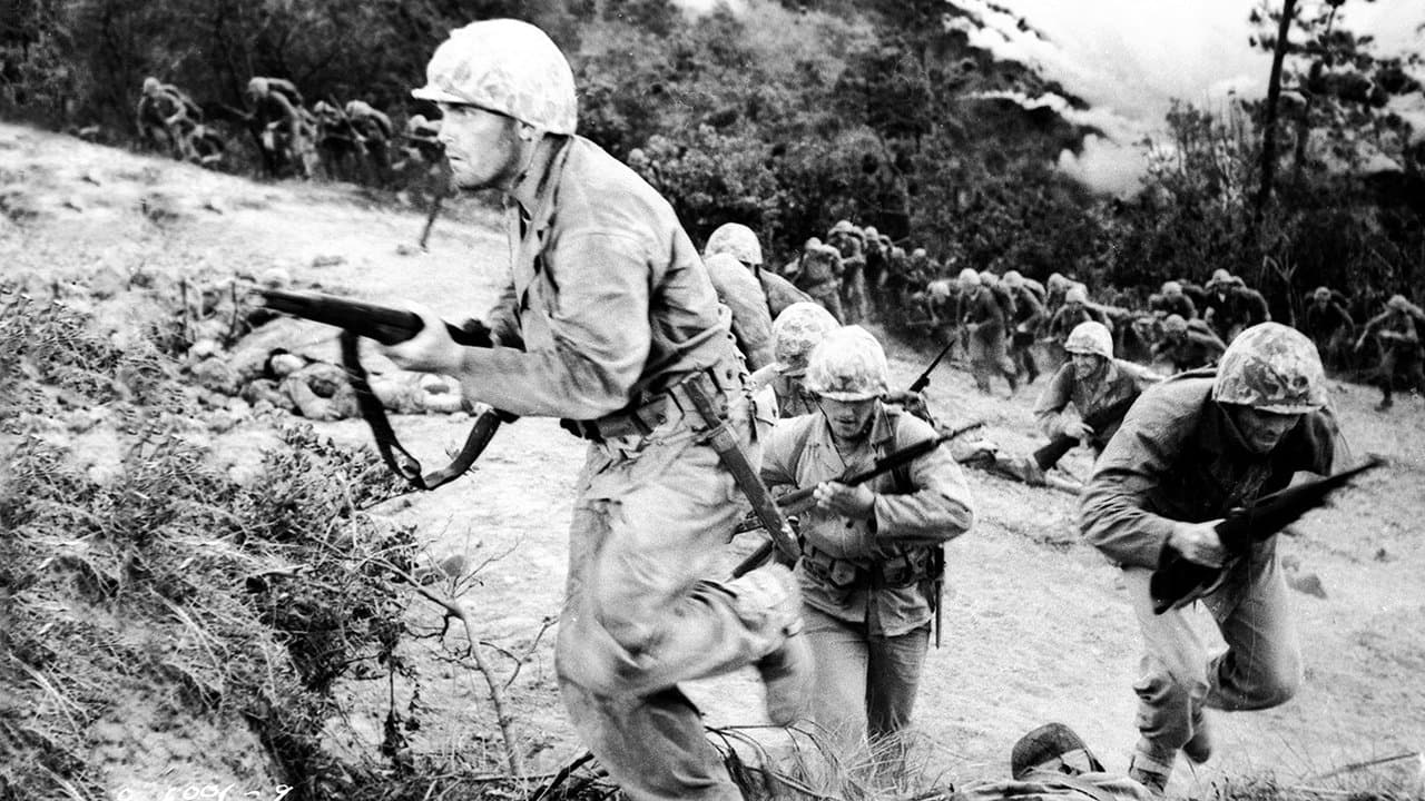 Backdrop – Stoßtrupp Saipan