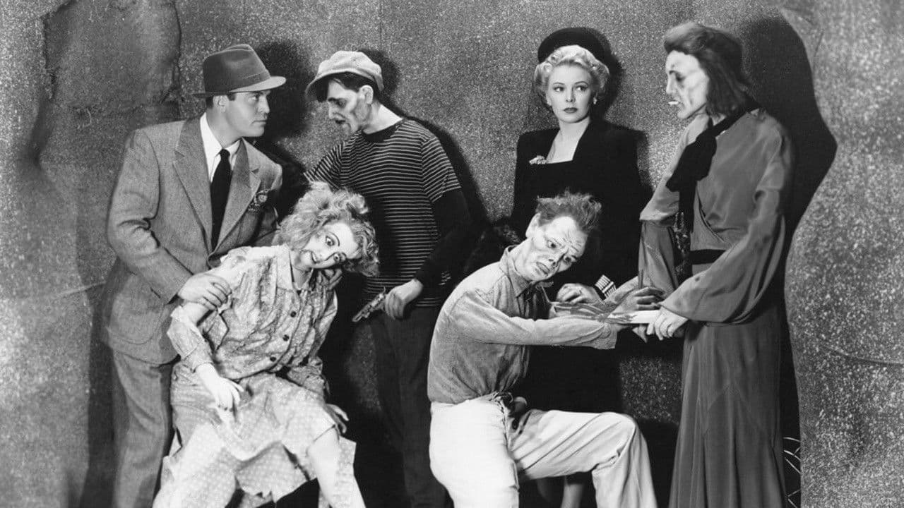 Backdrop – Meet Boston Blackie