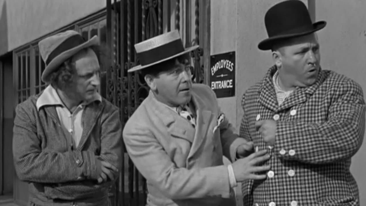 Backdrop – Movie Maniacs