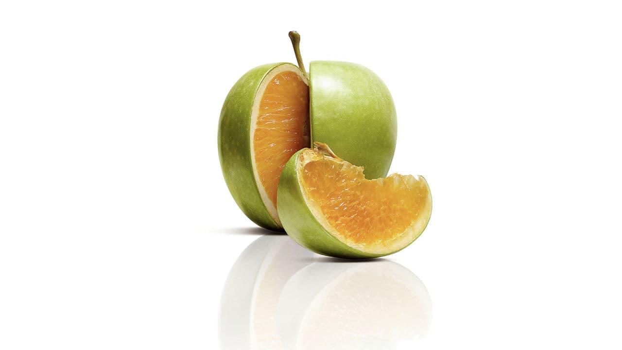 Backdrop – Freakonomics