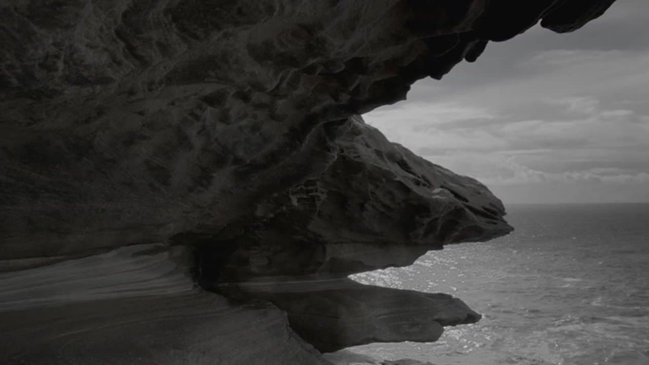 Backdrop – Observance