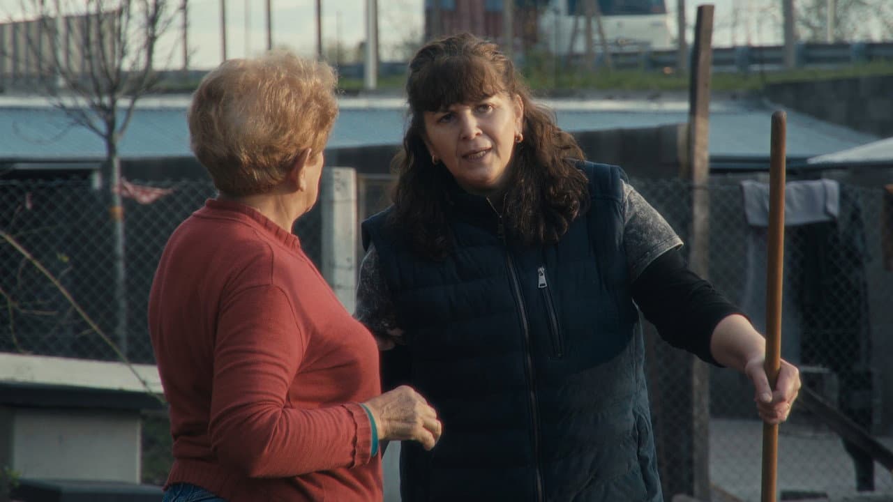 Backdrop – Los humanos también ladran