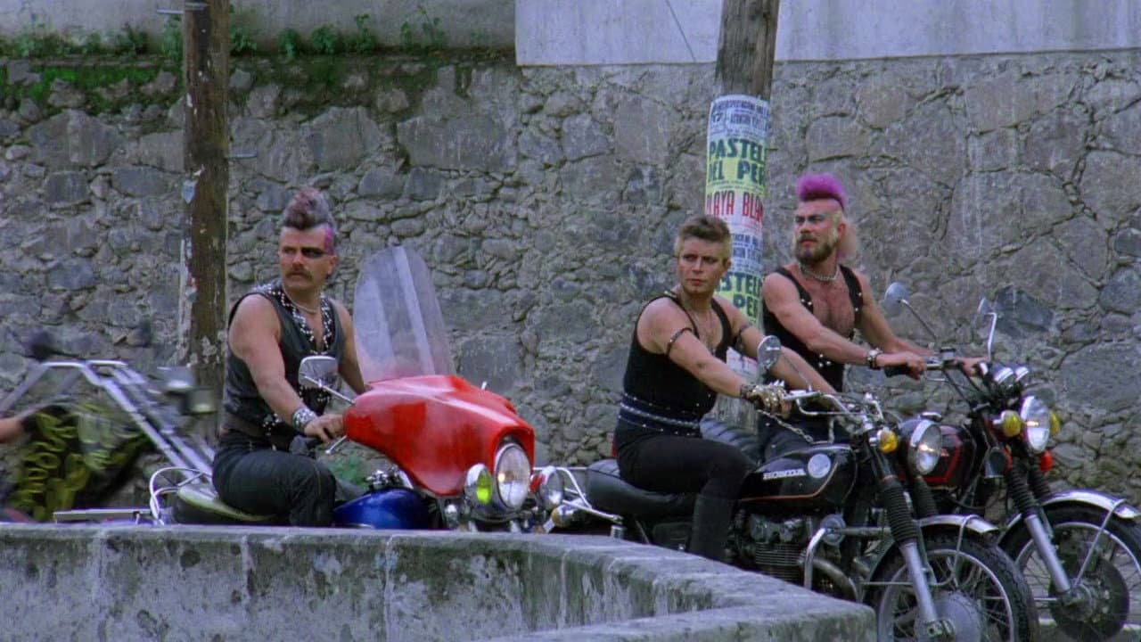 Backdrop – Intrépidos Punks