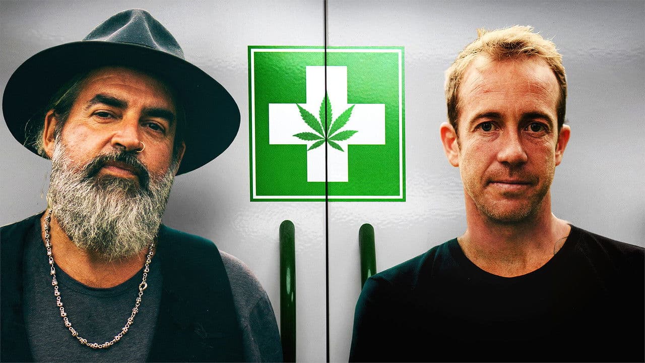 Backdrop – Green Light