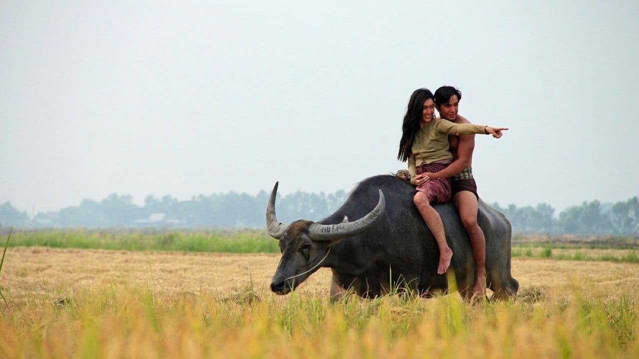 Backdrop – แผลเก่า