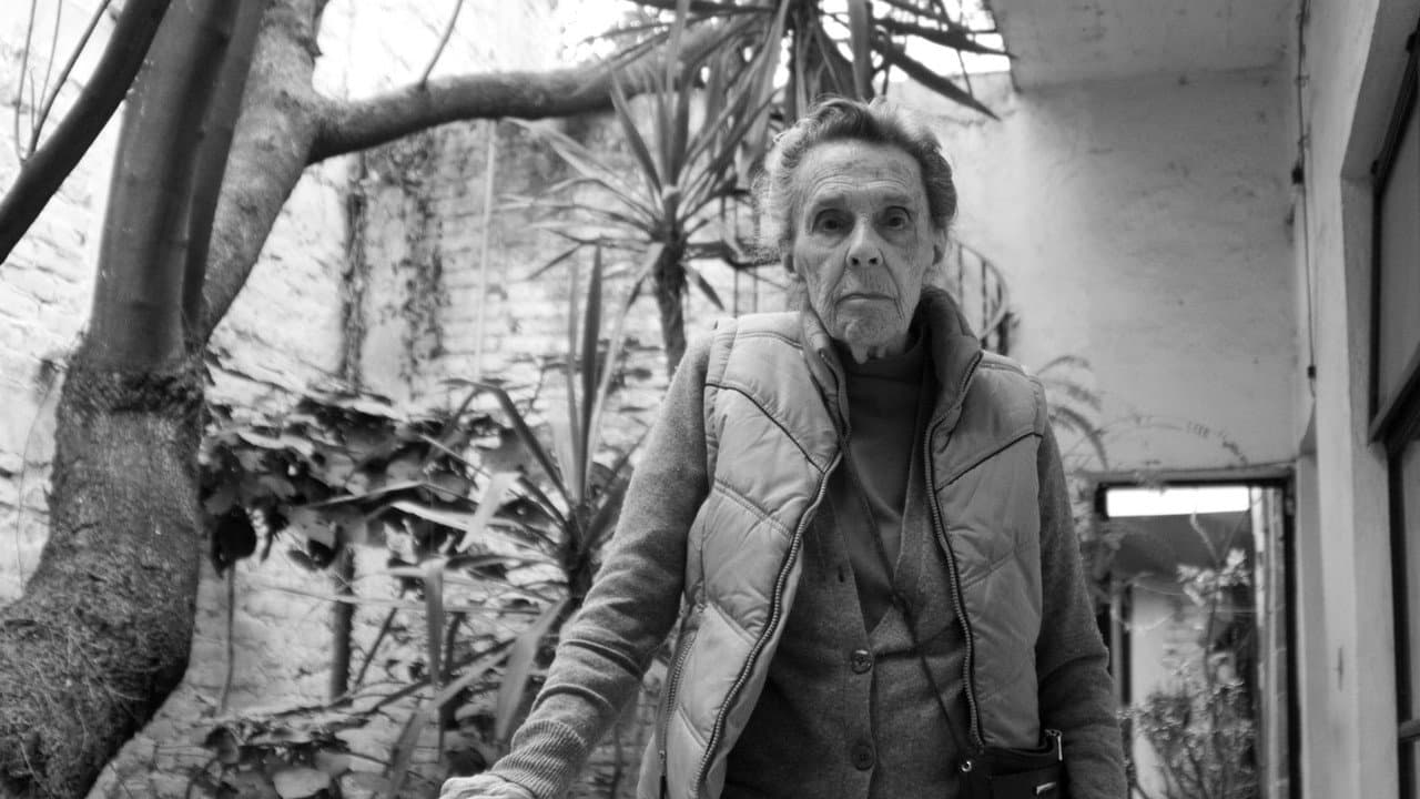 Backdrop – Leonora Carrington - Fantastische Surrealistin
