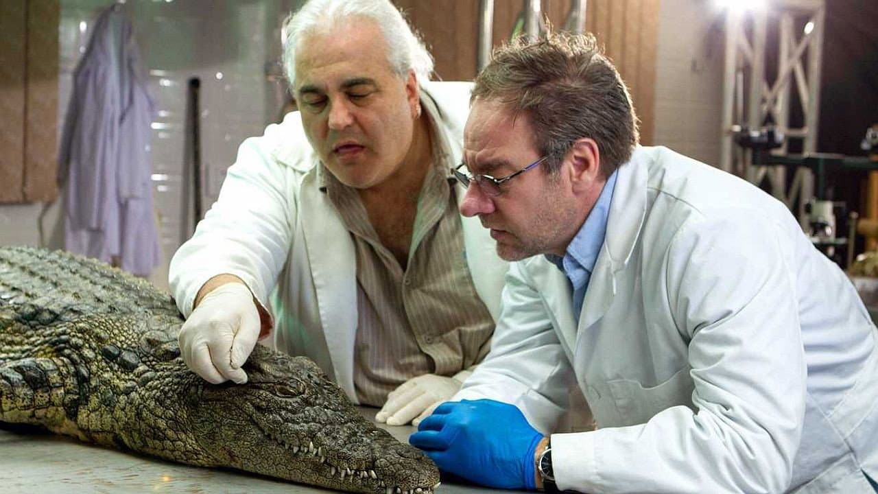 Backdrop – Das Krokodil - Innenansichten eines Kraftpakets