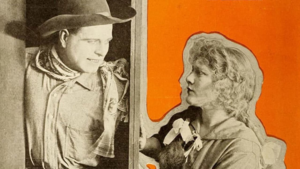 Backdrop – Nobody's Wife