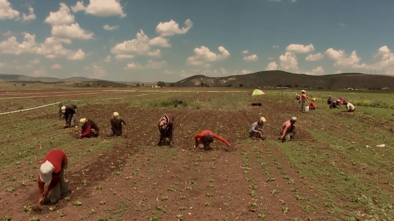 Backdrop – He bû tune bû