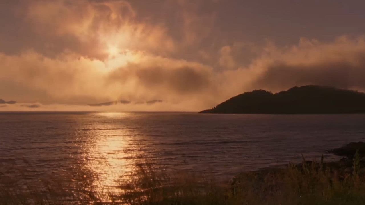 Backdrop – Jäger der Lüfte - Habichte, Bussarde und Adler