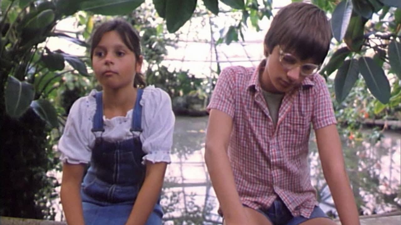 Backdrop – Пльонтек