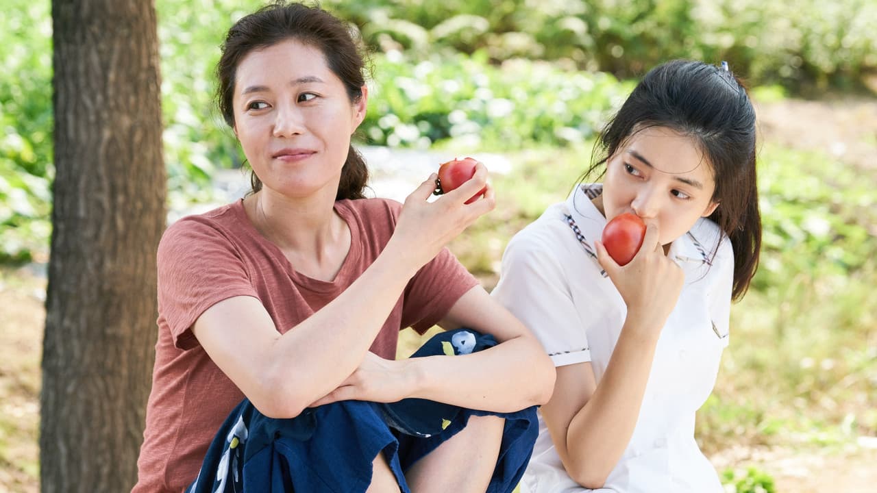 Backdrop – Little Forest