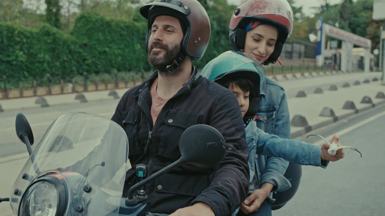 Backdrop – Rosinante