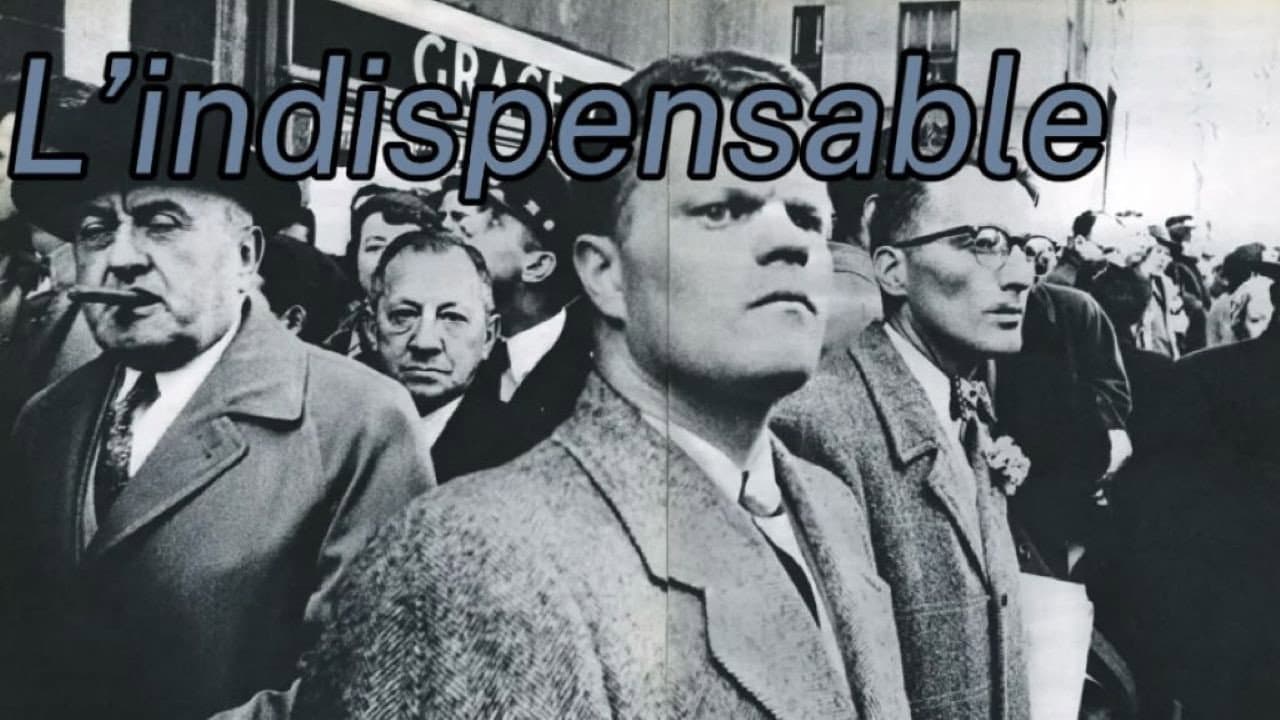 Backdrop – L’indispensable