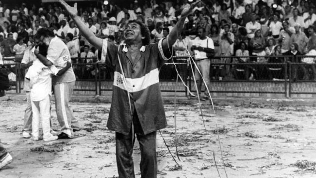 Backdrop – A Raça Síntese de Joãosinho Trinta