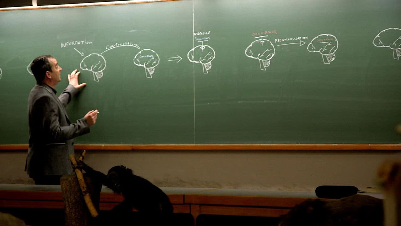 Backdrop – Tricky Memory