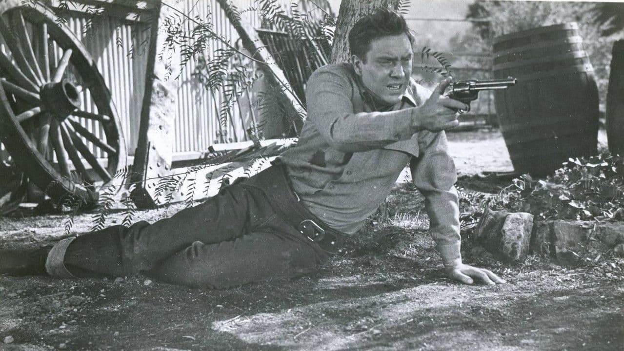 Backdrop – Cow Country