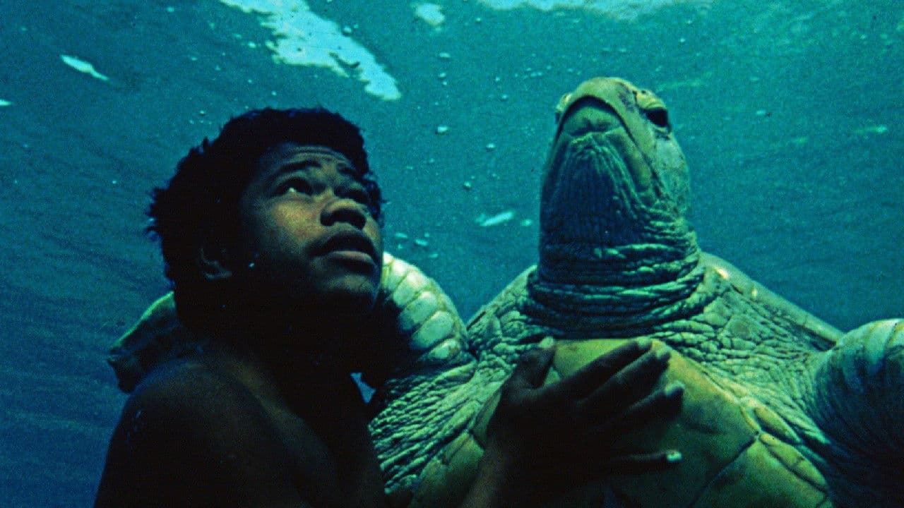 Backdrop – Der Junge mit der Schildkröte