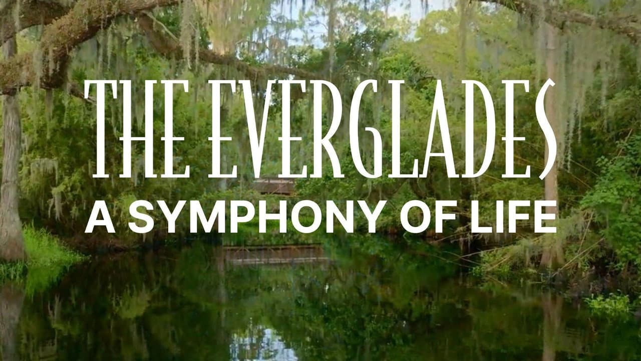 Backdrop – The Everglades: A Symphony of Life