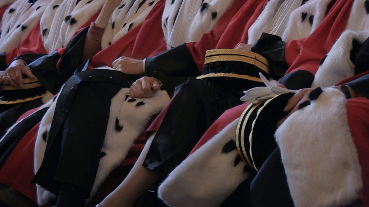 Backdrop – Retour au Palais