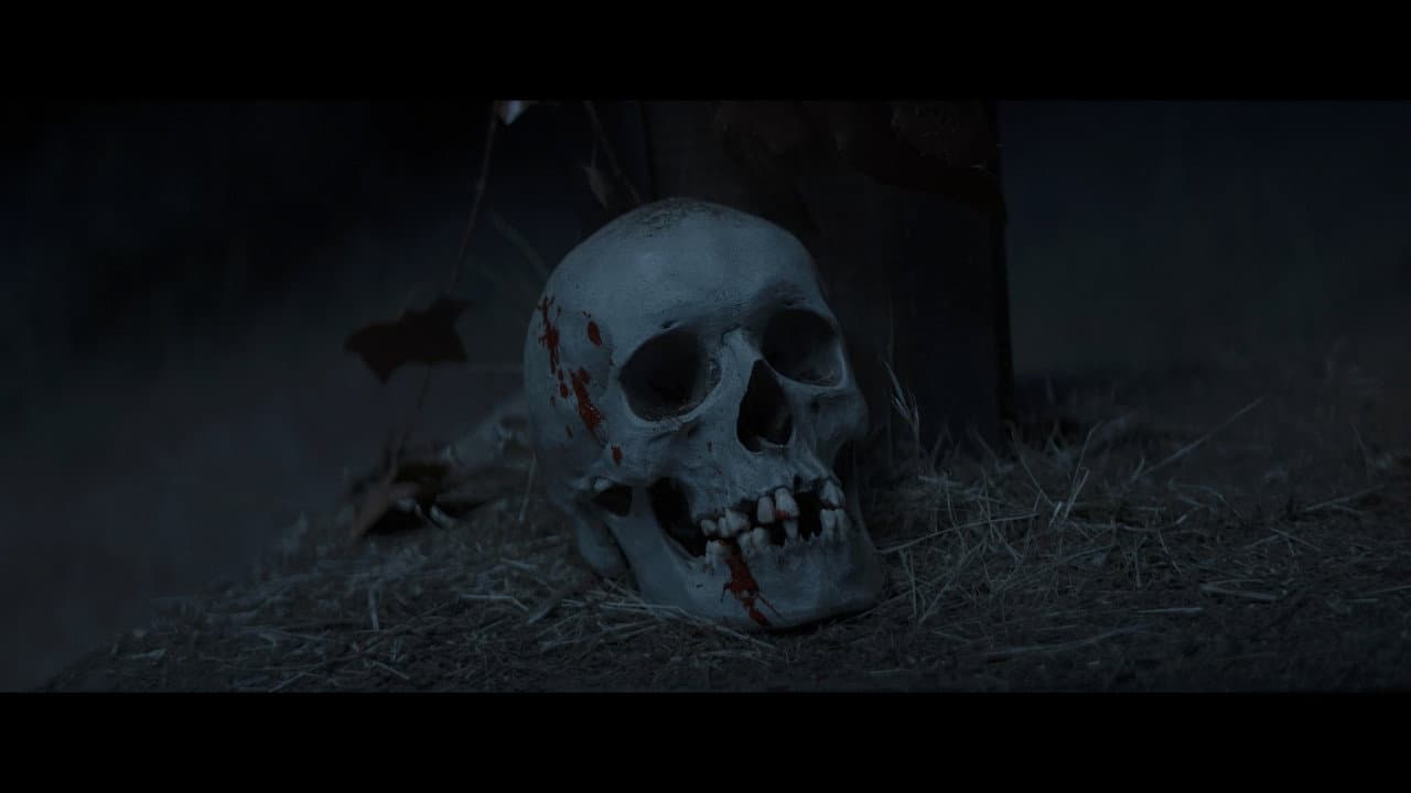 Backdrop – El Cristo de la Calavera