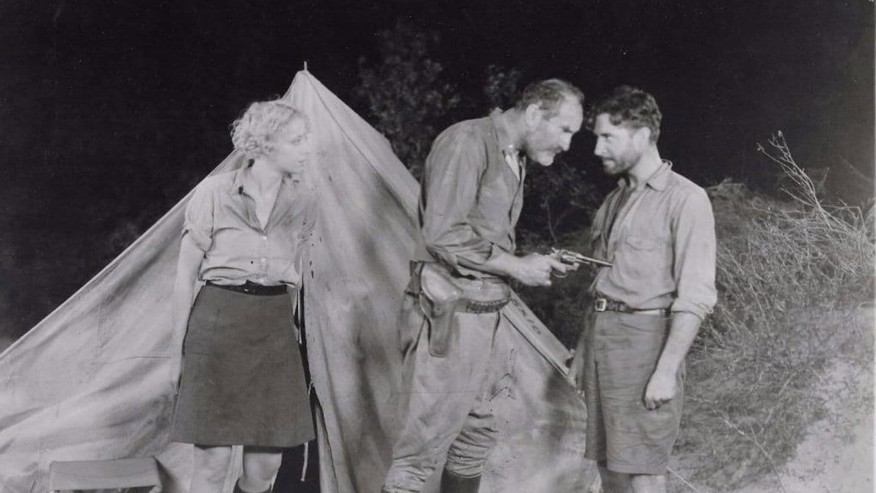 Backdrop – Desert Nights